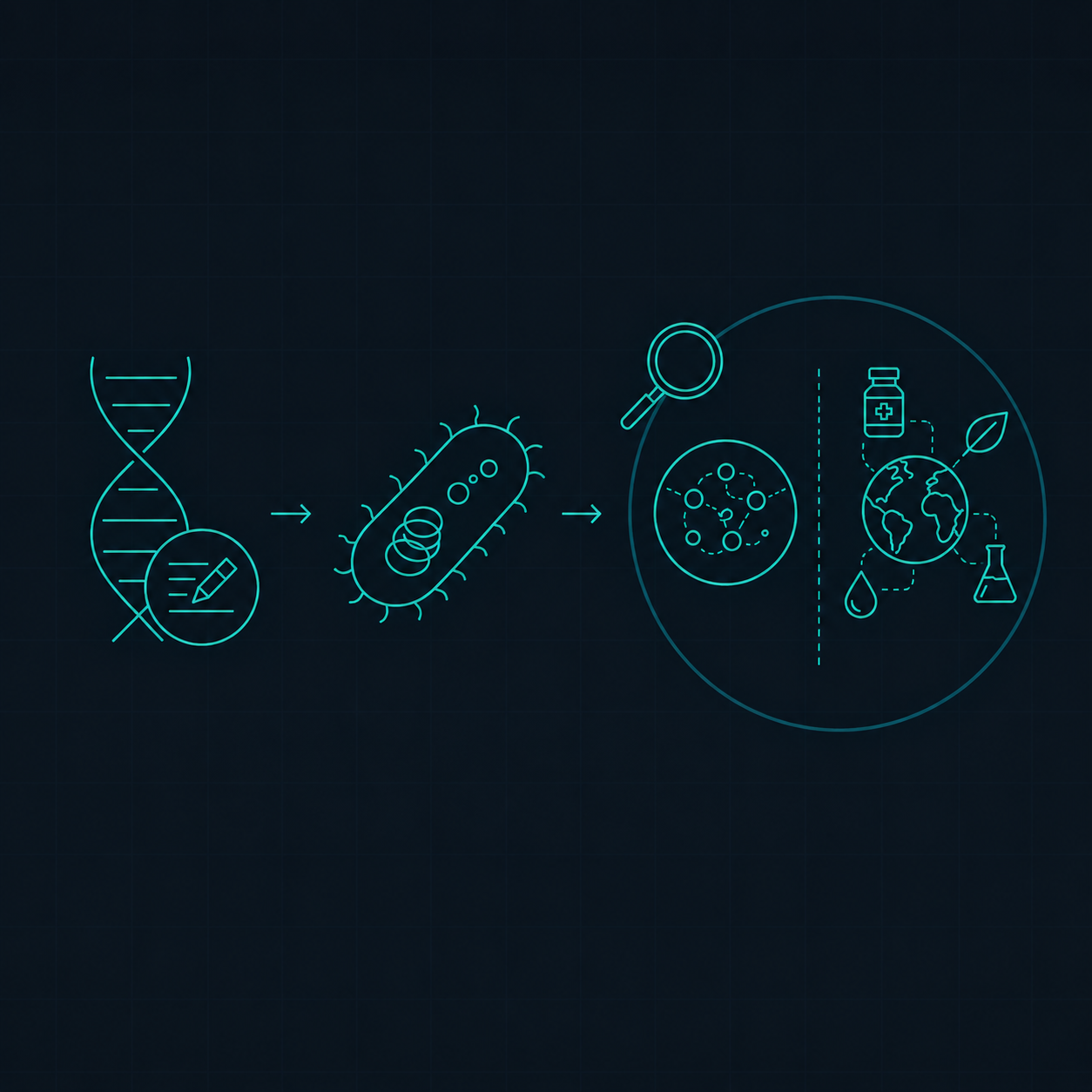 From synthetic design to fundamental and applied questions